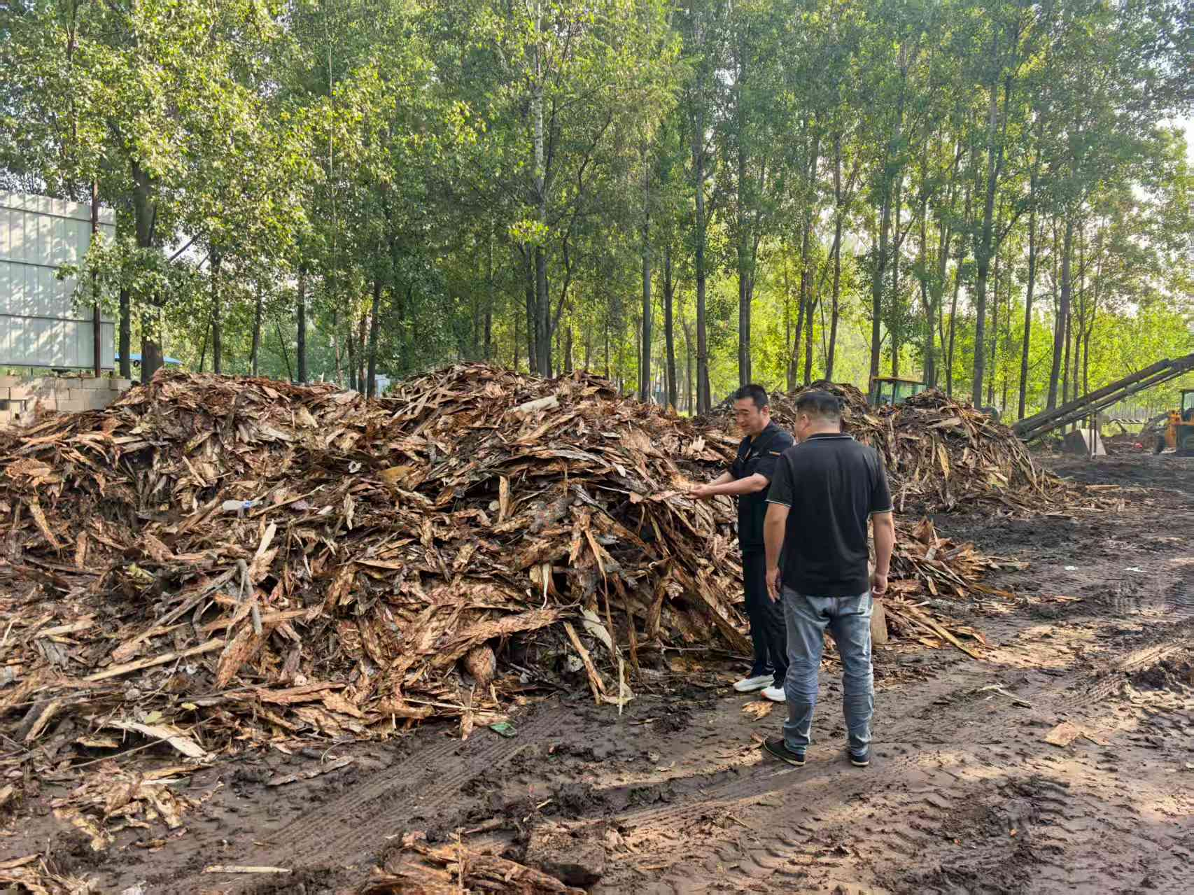 新葡的京集团350vip8888(中国)有限公司官网