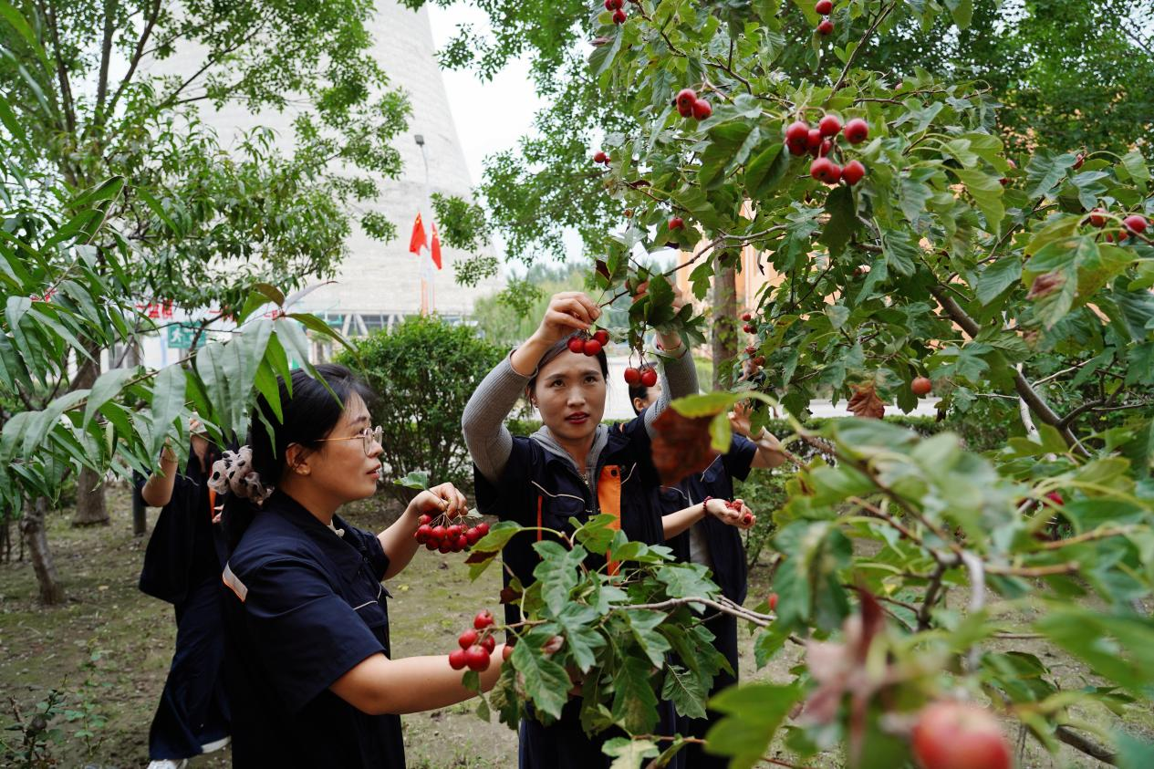 新葡的京集团350vip8888(中国)有限公司官网