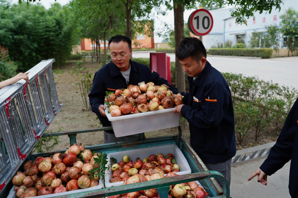 新葡的京集团350vip8888(中国)有限公司官网